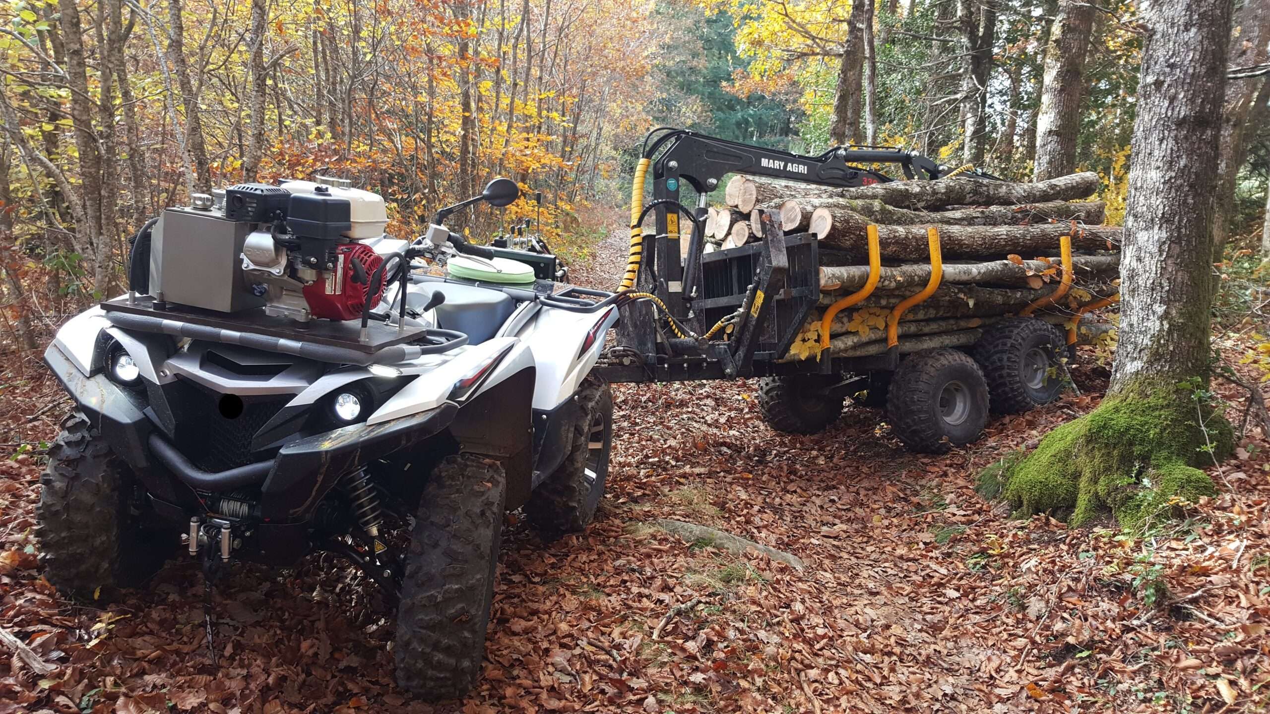 01 - REMORQUE FORESTIERE 1.5T – Image 4