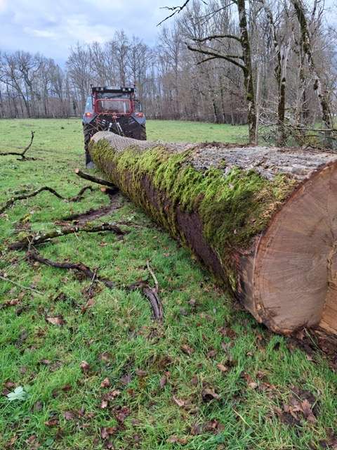 Treuil 10T MARY AGRI