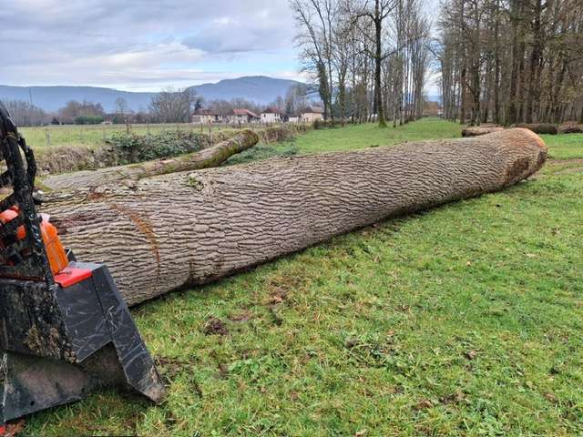 Treuil 10 T
