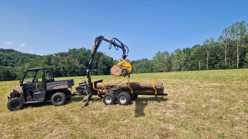 GRUE FORESTIERE 410 – Image 22