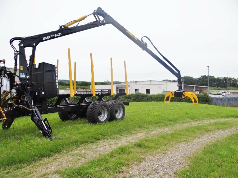 GRUE FORESTIERE 720 – Image 5