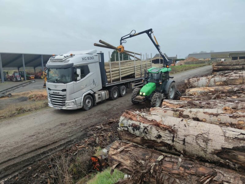 GRUE FORESTIERE 700 – Image 8