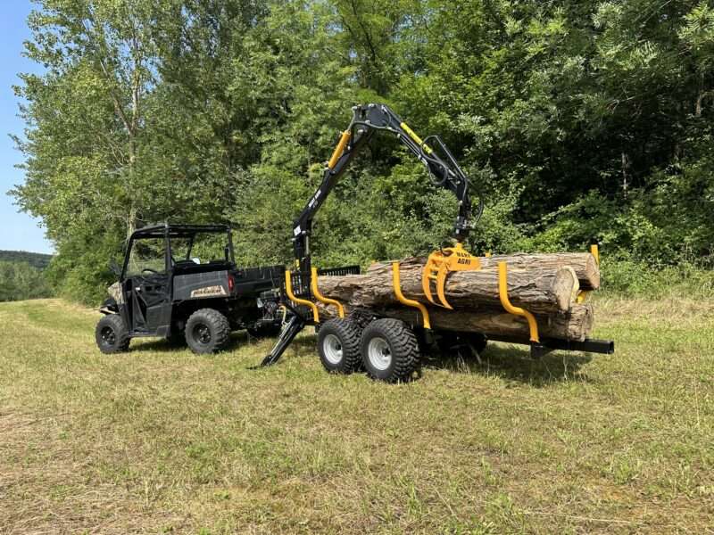 GRUE FORESTIERE 410 – Image 17