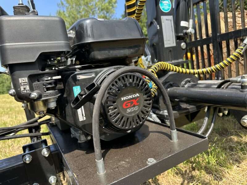 GRUE FORESTIERE 410 – Image 18