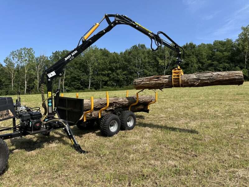 GRUE FORESTIERE 410 – Image 2