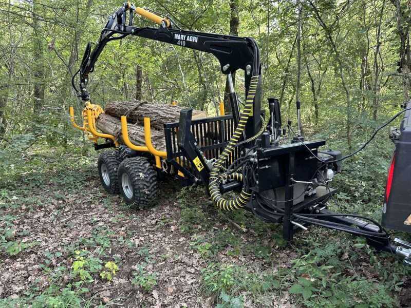 GRUE FORESTIERE 410 – Image 20
