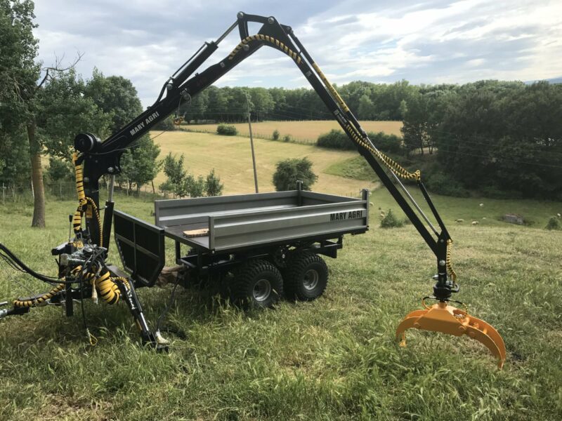GRUE FORESTIERE 410 – Image 5