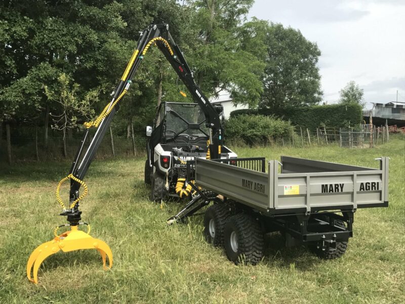 GRUE FORESTIERE 410 – Image 10