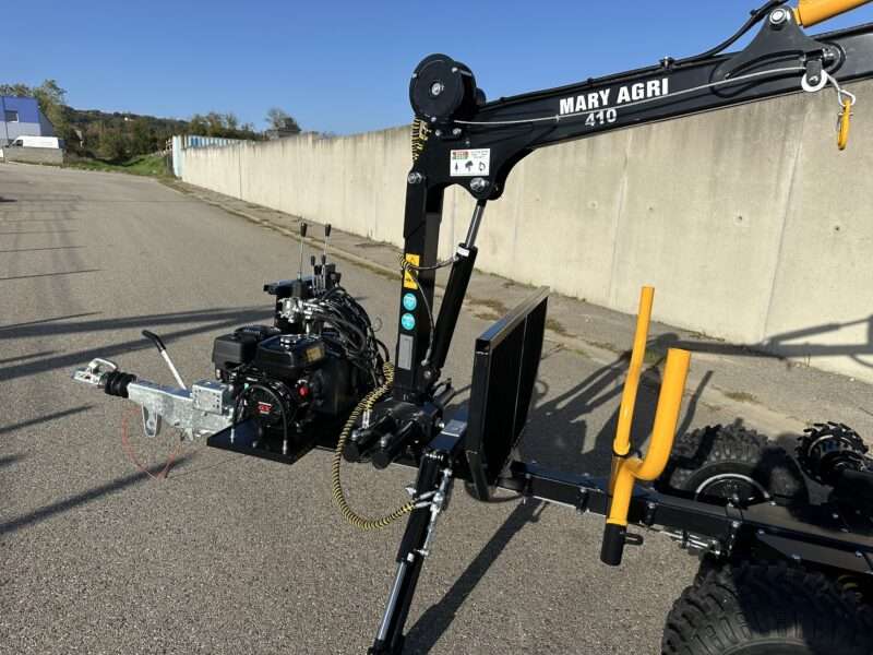 GRUE FORESTIERE 410 – Image 13