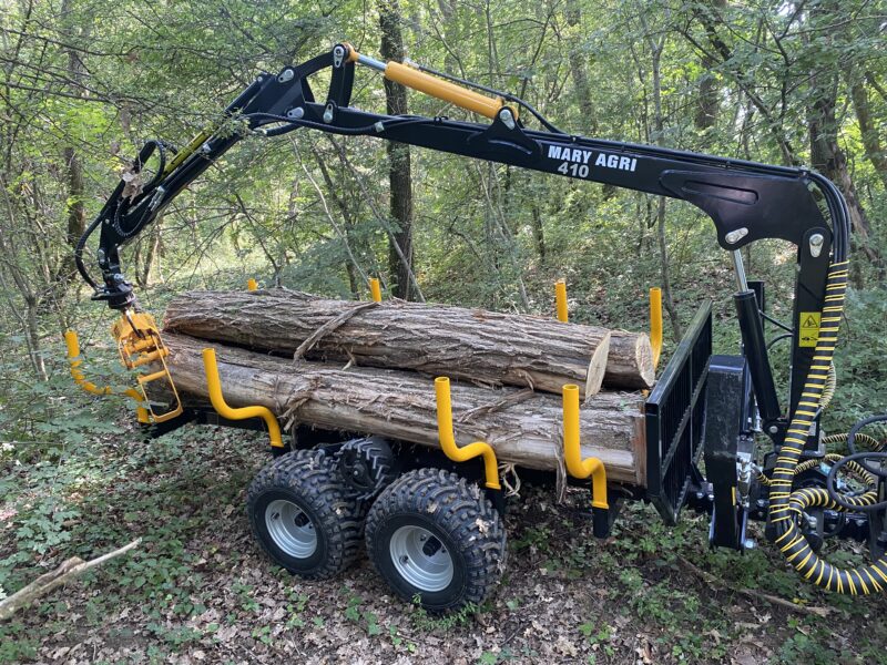 GRUE FORESTIERE 410 – Image 3