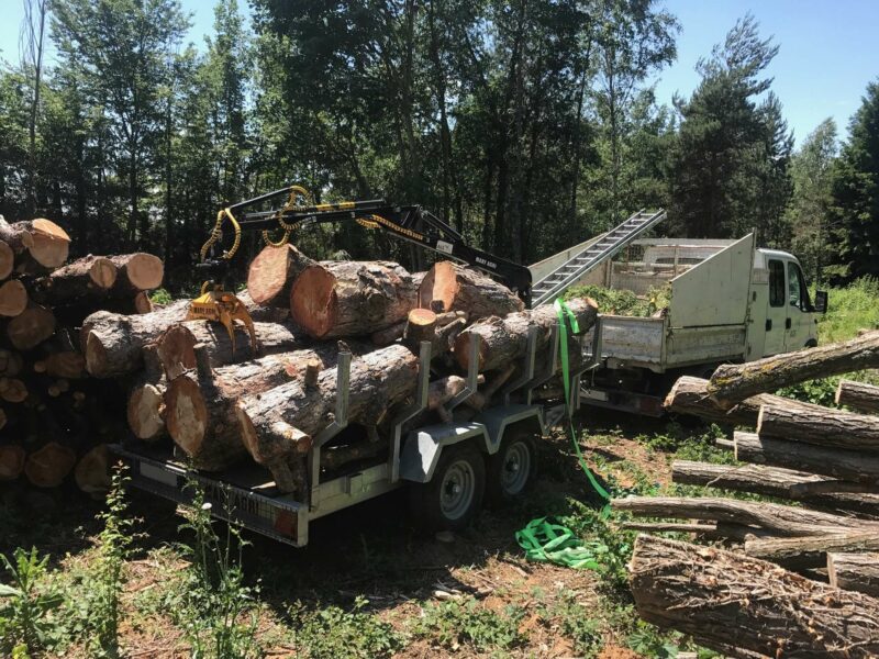 REMORQUE ROUTIERE FOREST 3,5T – Image 7