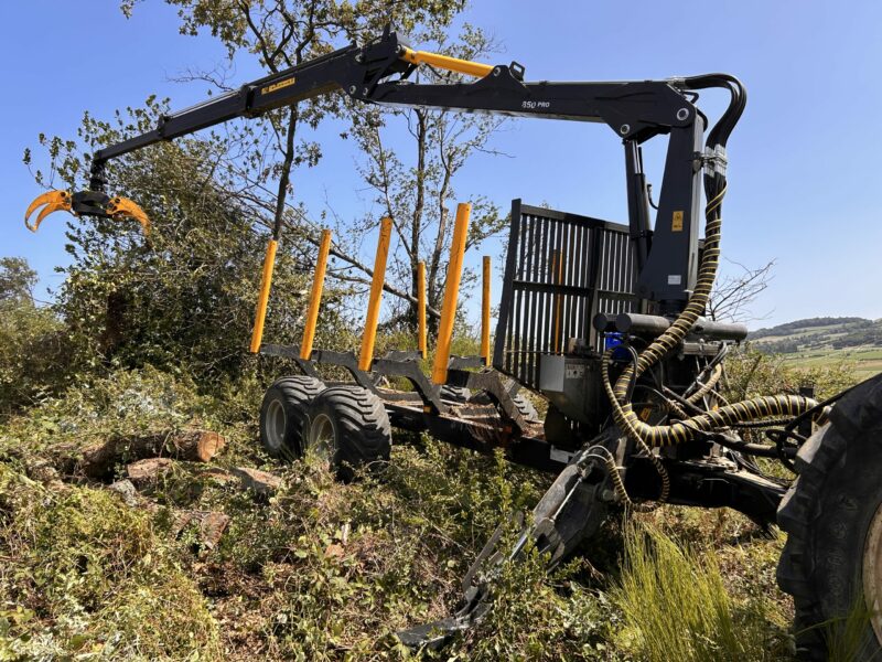 GRUE FORESTIERE 850 – Image 3