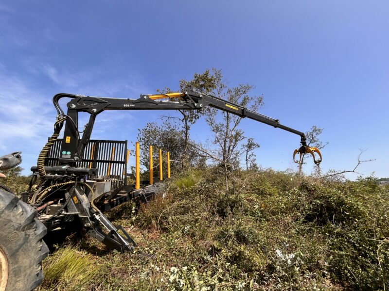 GRUE FORESTIERE 850 – Image 5