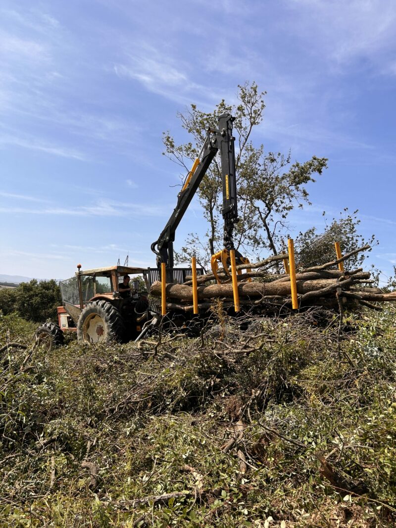 GRUE FORESTIERE 850 – Image 7