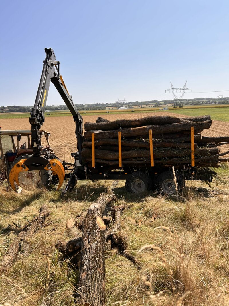 GRUE FORESTIERE 850 – Image 9