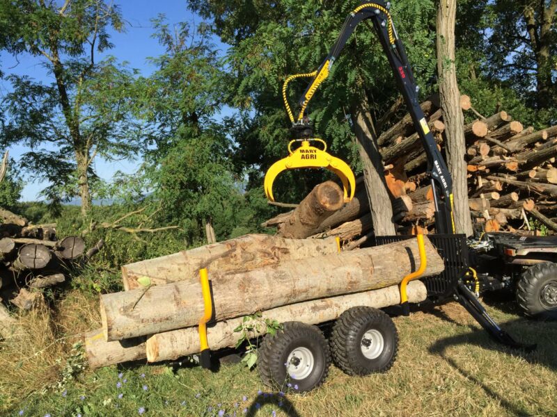 GRUE FORESTIERE 330 – Image 4