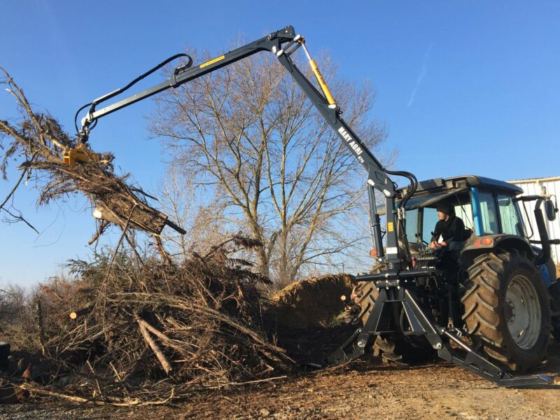 GRUE FORESTIERE 670 – Image 7