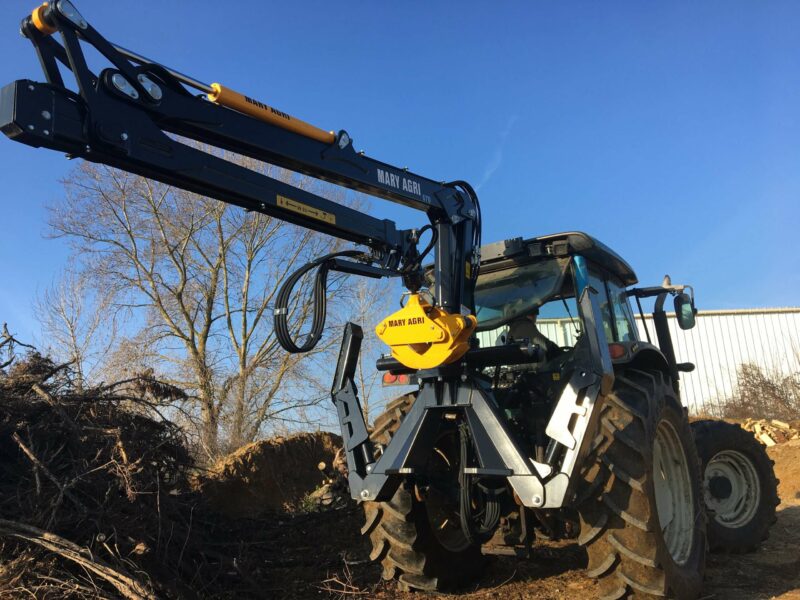 GRUE FORESTIERE 670 – Image 6