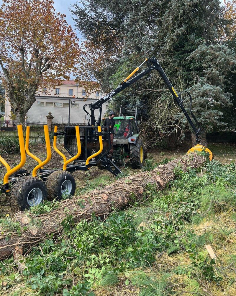 GRUE FORESTIERE 670 – Image 11