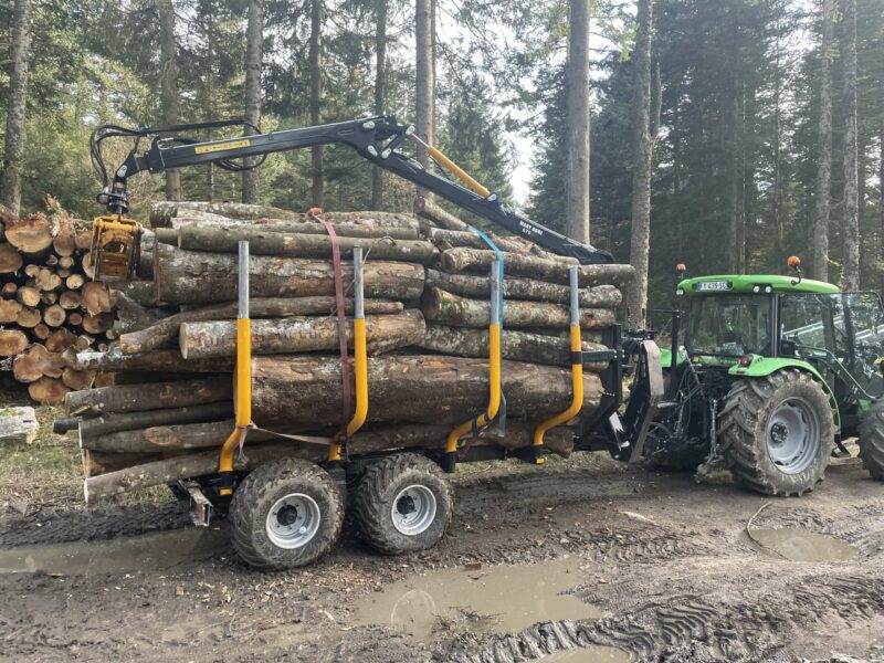 GRUE FORESTIERE 670 – Image 10
