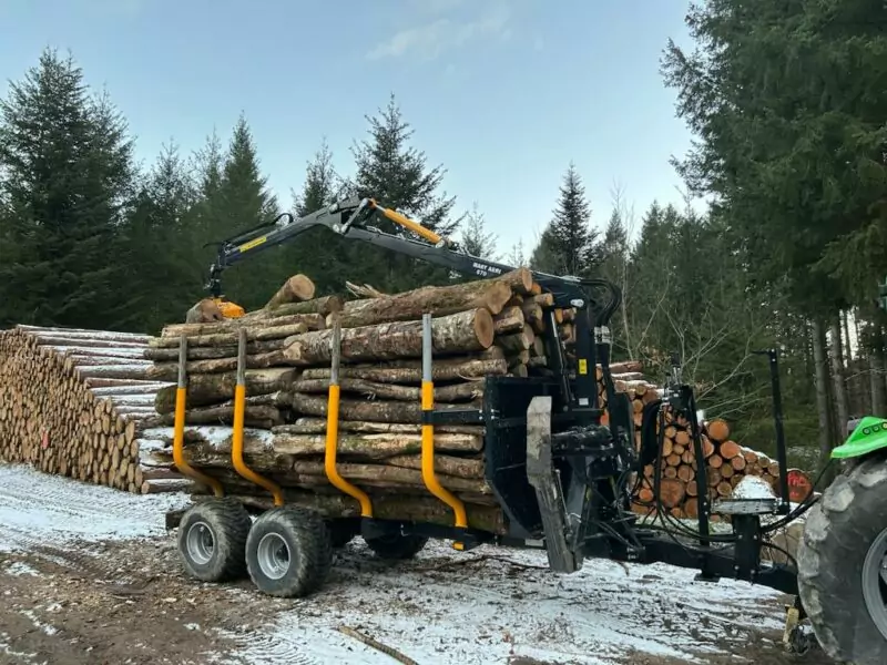 GRUE FORESTIERE 670 – Image 9