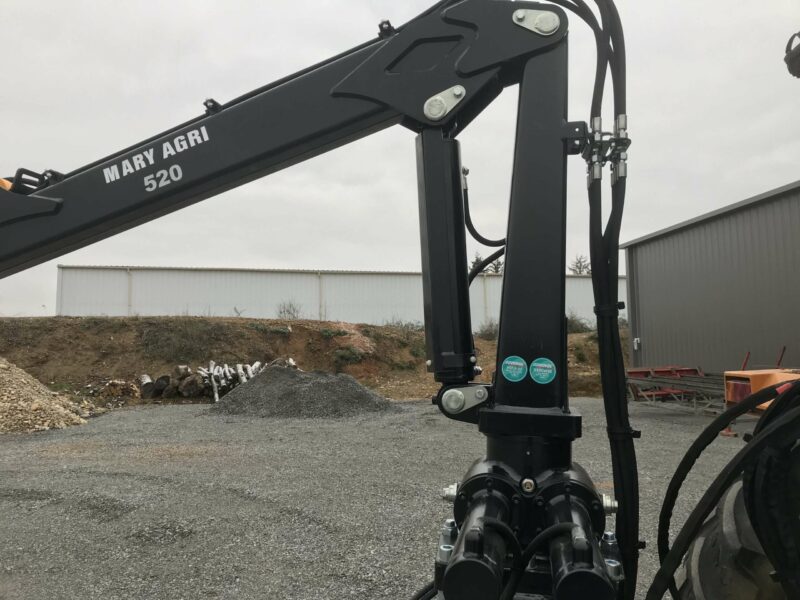 GRUE FORESTIERE 520 – Image 4