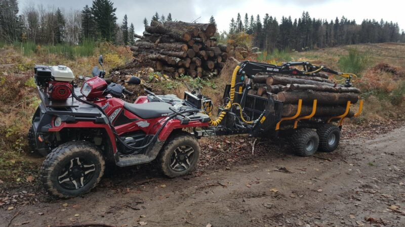 GRUE FORESTIERE 330 – Image 8